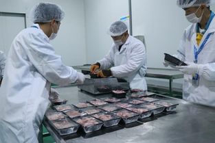 猪肉价格涨至历史高点 南京苏宁菜场打响 价格保卫战